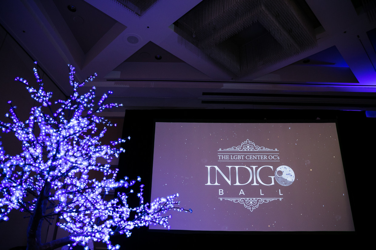 2019 Indigo Ball Gallery